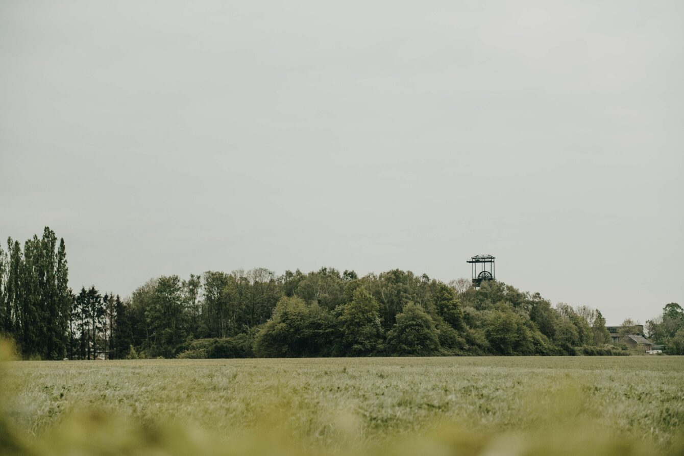 Cimetière de Collarmont 4