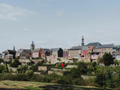 180828 Thuin Centre Historique Jardin Bois Avec Oevres Quartier Des Bateliers 54