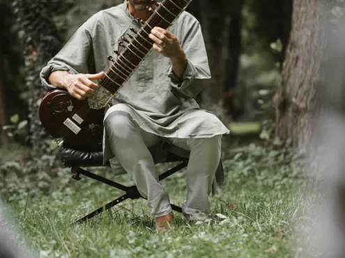 Sitar 5