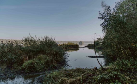 Aquascope